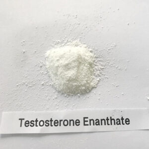 Buy Testosterone Enanthate
