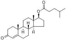 How to Legally Buy Testosterone Online